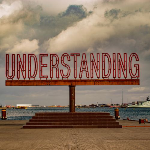 understand your audience