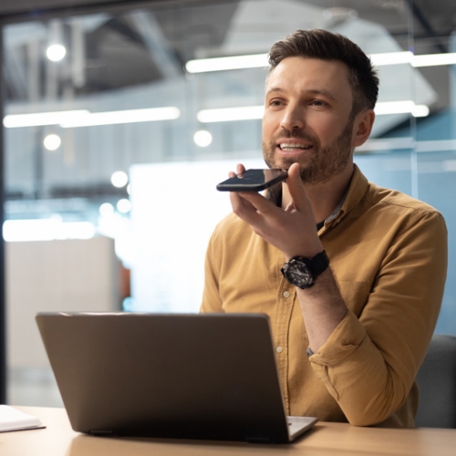 ignoring voice search optimization
