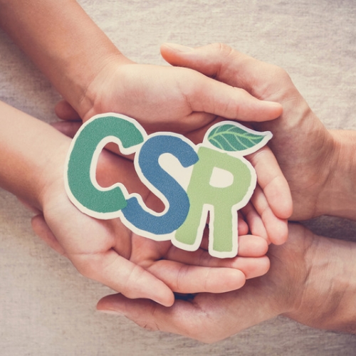 ignoring sustainability and corporate social responsibility (csr)