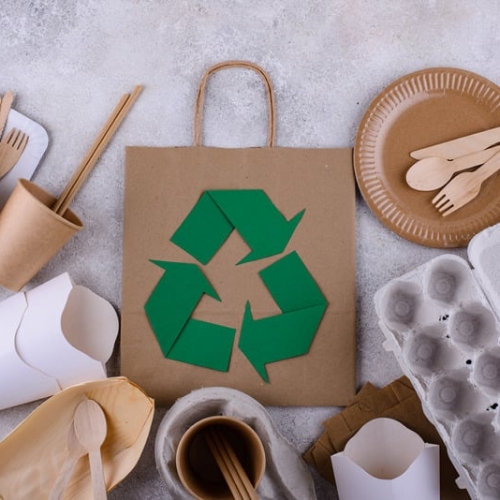 Sustainable Living & Eco-Friendly Products